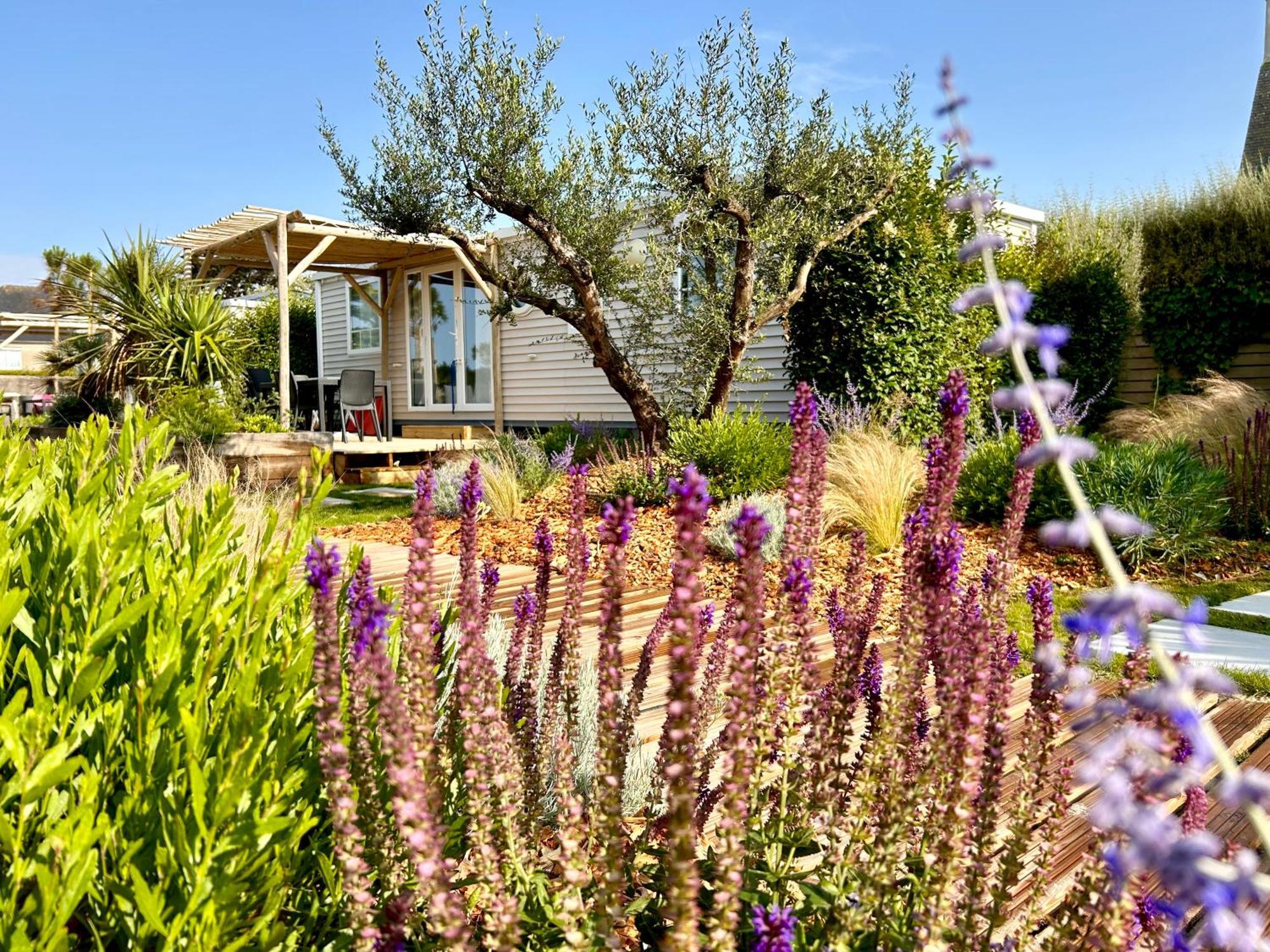 Camping De La Cote Des Legendes Brignogan-Plages Εξωτερικό φωτογραφία